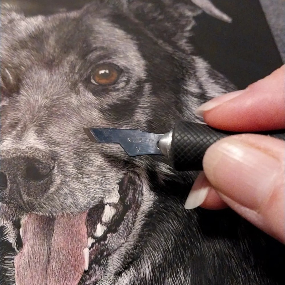 Meet your Posher, Ann